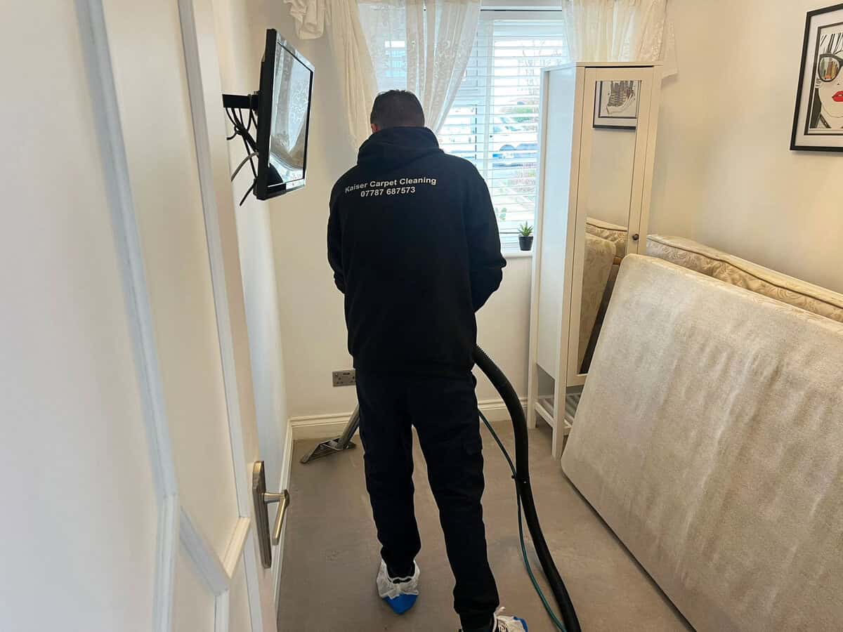 Carpet Cleaning